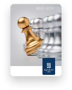 التقرير السنوي لعام 2022